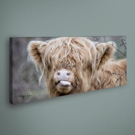 PANORAMIC - RASPBERRY COW CANVAS - 1.2m x 50cm